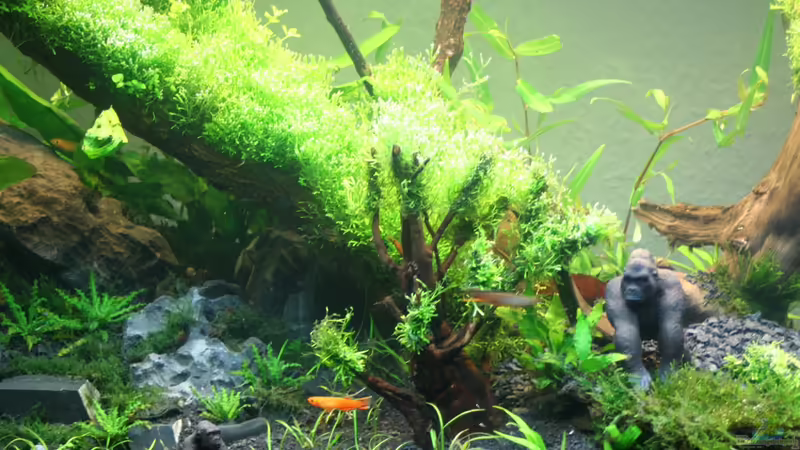 von Oben etwas von xstedt (12)