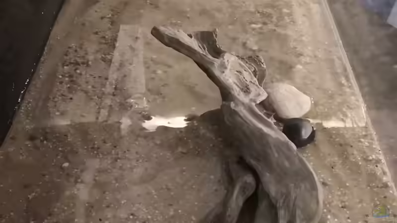 Von oben fotografiert mit der Rockzolid Wurzel von Florian Bandhauer (53)