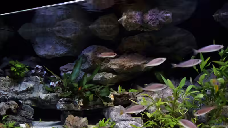 von oben hängend Stone Module C von Martina (16)