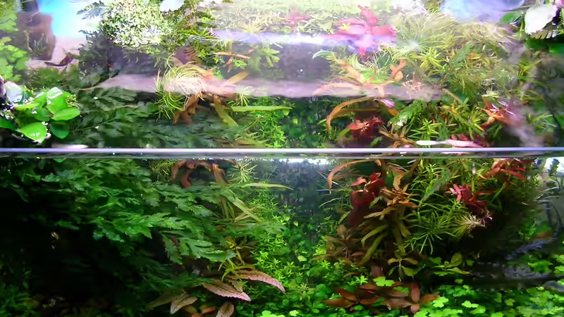 Von oben im September von Fredo Fuss (2)