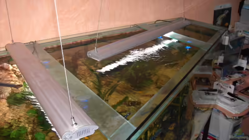 Von oben Links von Heiko Schrandt (6)