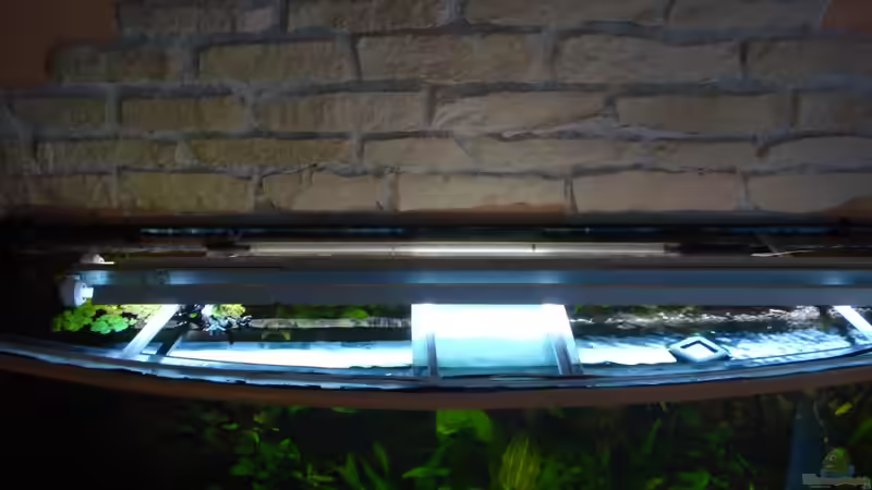 von oben mit  Leuchtbalken 2x80Watt von matze70 (29)