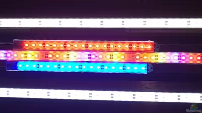 von oben nach unten 6500k> rot> growx >blau > 5500k von River Creator (26)