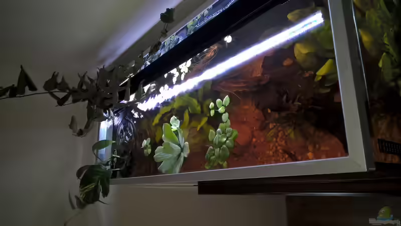 von oben Stand 29.07.2015 von Silvio (14)