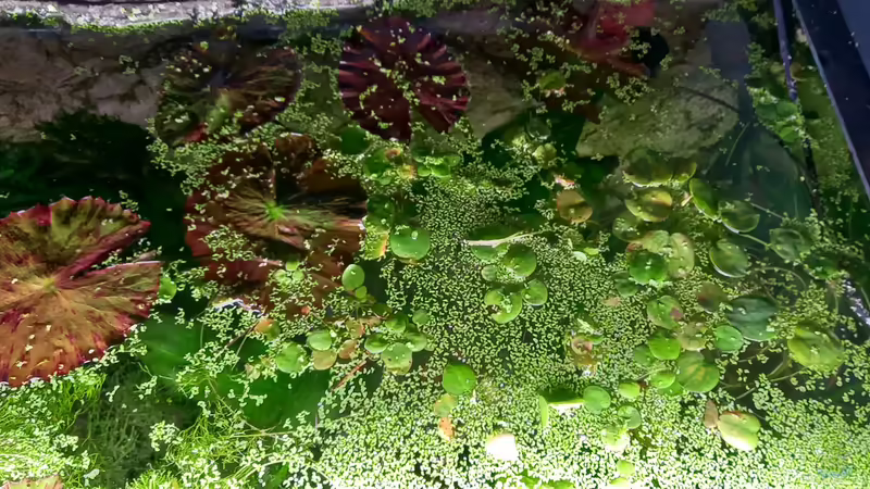 Von Oben von Acero (22)