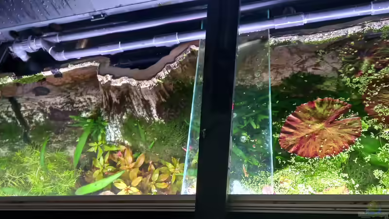 Von Oben von Acero (23)