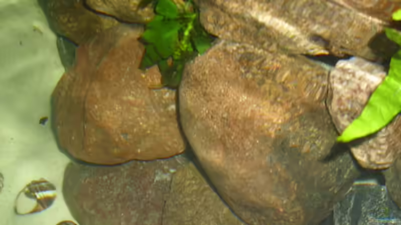 Von oben von deBouwer (4)