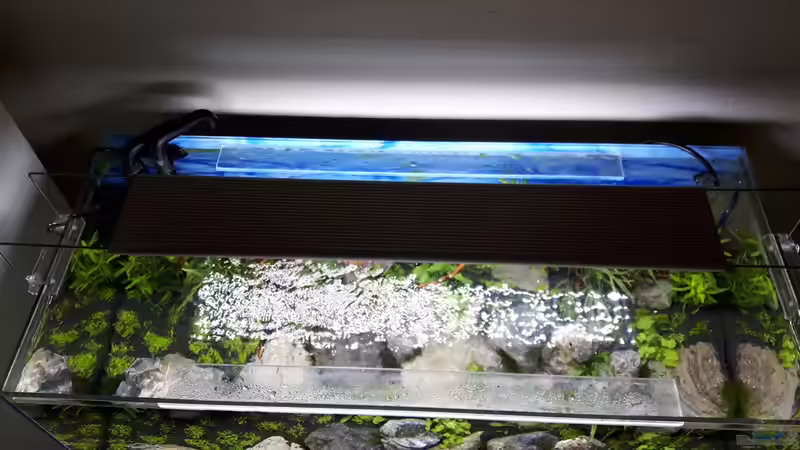 von oben von Der Nicky (62)