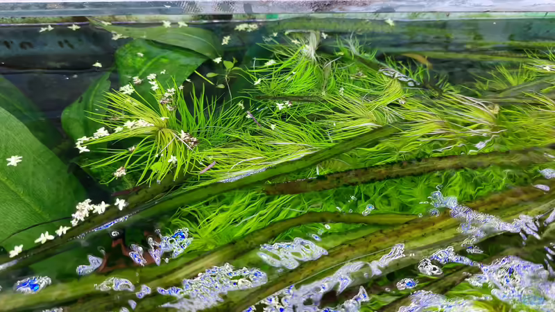 von oben von ErfurtOldy (52)