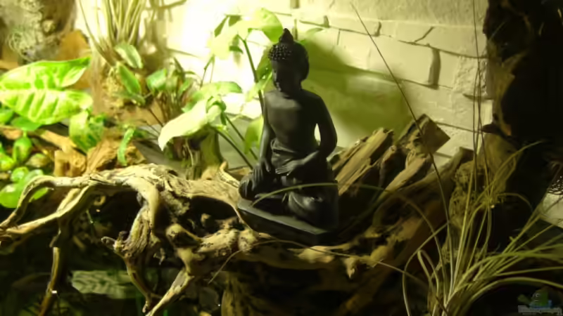 von oben von Erich Beer (10)