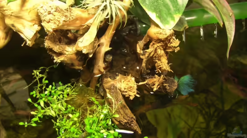 von oben von Erich Beer (4)