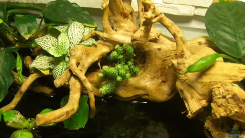 von oben von Erich Beer (6)