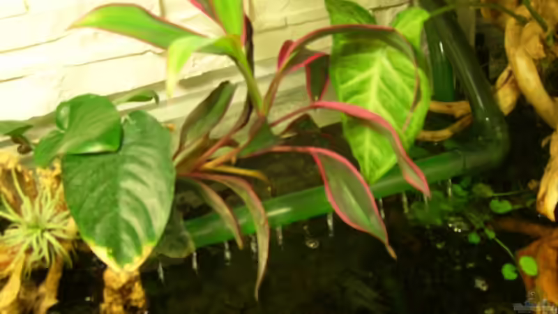 von oben von Erich Beer (7)