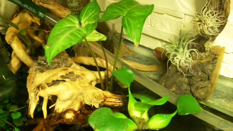 von oben von Erich Beer (8)