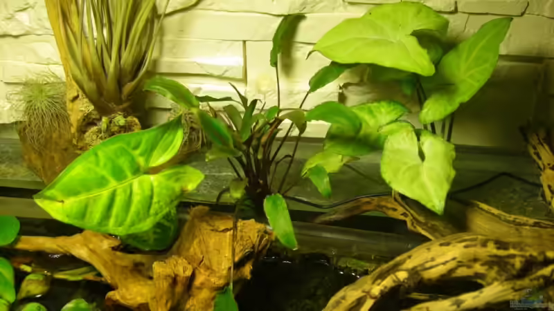 von oben von Erich Beer (9)