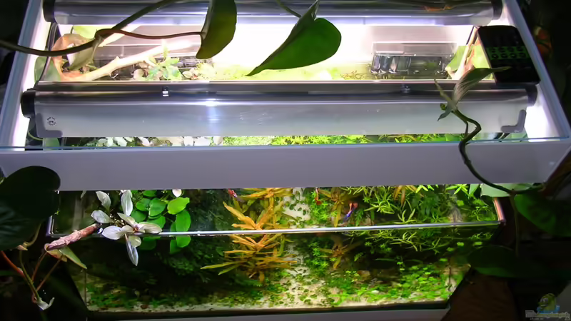 von oben von Fredo Fuss (17)