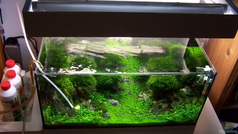 Von oben von Fredo Fuss (3)