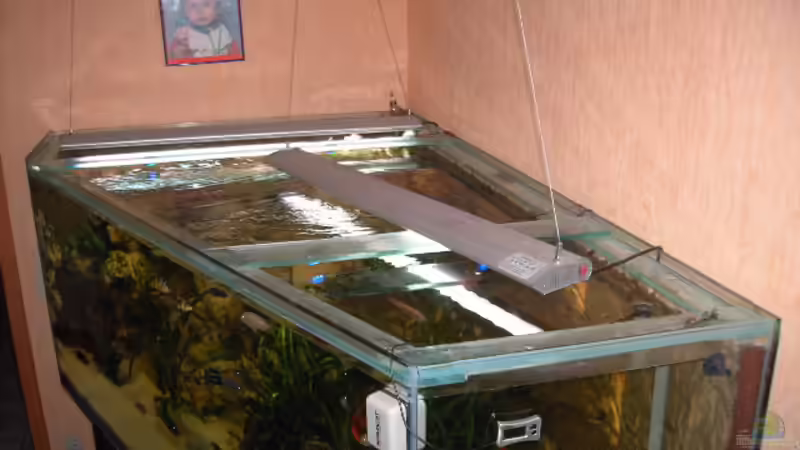 Von oben von Heiko Schrandt (2)