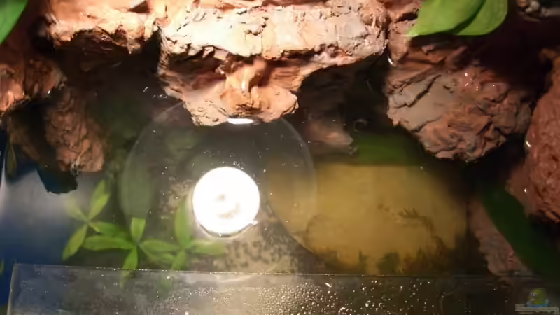 von oben von Johannes (8)