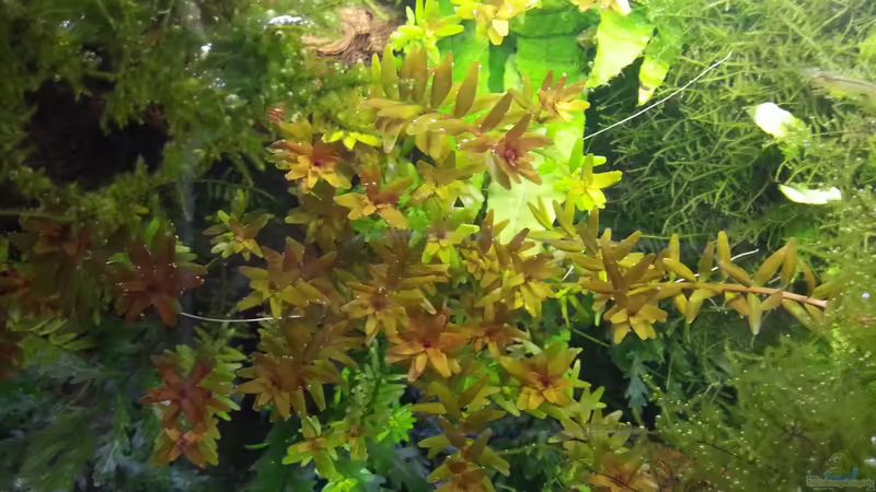 von oben von Marcel Reiter (4)