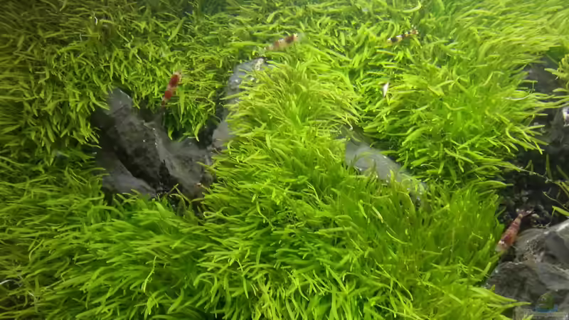 von oben von Marcel Reiter (6)