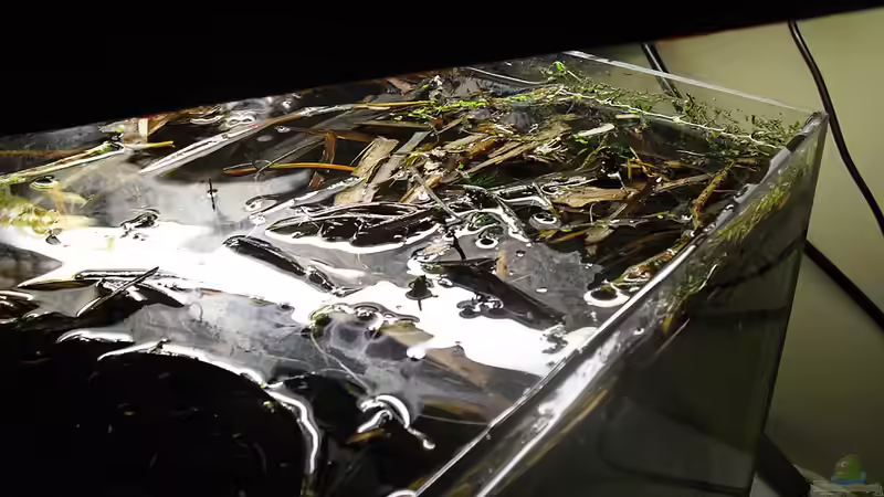 von oben von Mario74 (4)