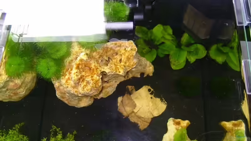 von oben von Nautiker (4)