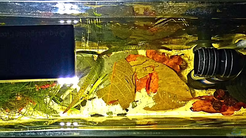 von oben von Sale87 (6)