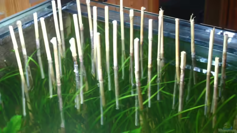 von oben von Stefan Kaiser (3)