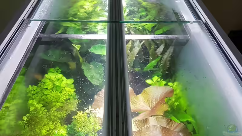 von oben von Sunnyboy_72 (32)