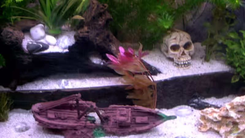 von Oben von Volker Heim (4)