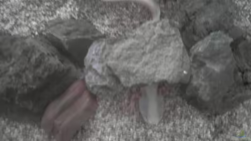 Von Oben von Xiahtic (4)