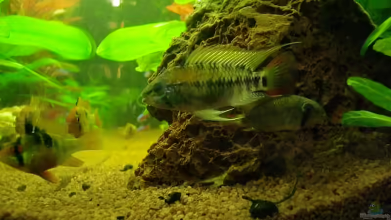 von rechts... 30.10.2011 von SpL (11)