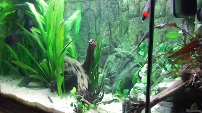 von rechts... von Melanie Burkhard (4)