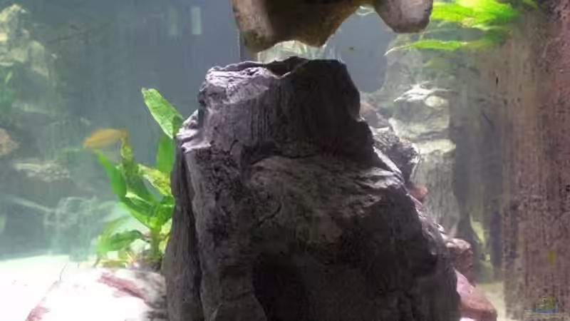 von rechts, oben die Tunze, noch ohne die 3D-Rückwand in der Mitte. Sieht sonst von Schdäff (3)