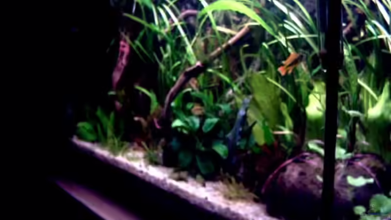 von rechts 30.10.07 von Thomas Schmidt (4)