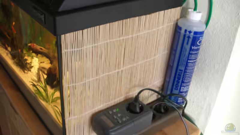 von rechts am 24.11.2007 von Büdi II (10)