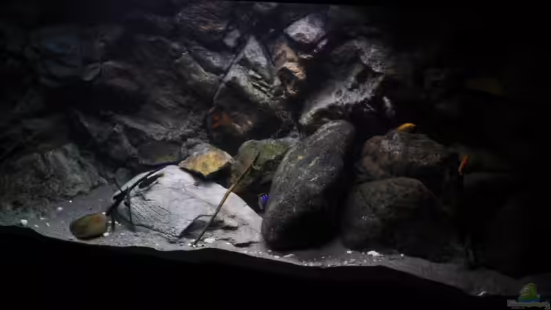 Von rechts fotografiert von Florian Bandhauer (8)