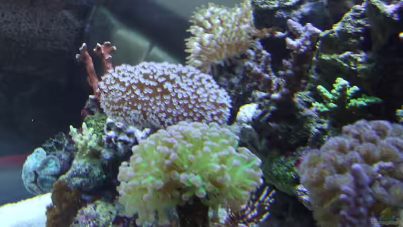 von rechts nach links durchs becken von Sascha Bill (5)