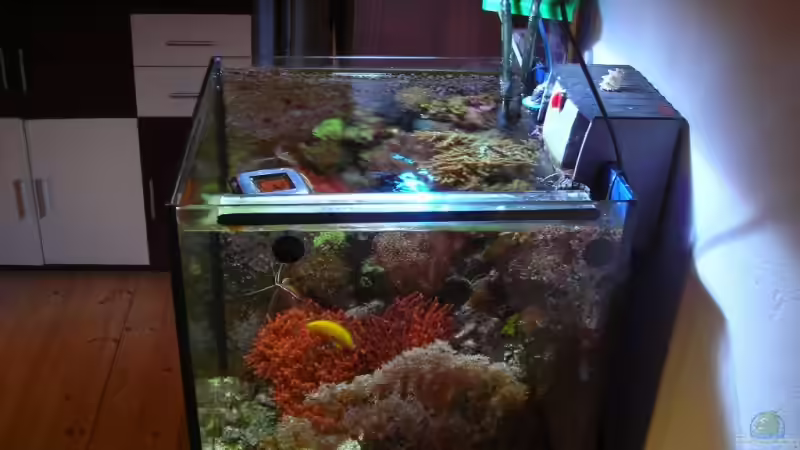 Von rechts oben 10.07.08 von Mario Kustor (5)