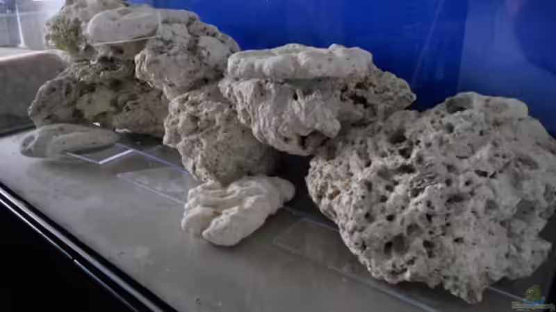 von rechts von Dennis Rienecker (6)