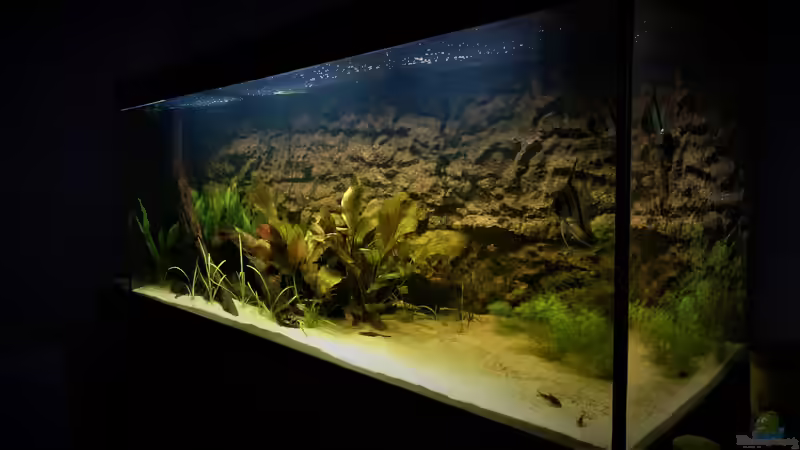 Von Rechts von DennisTheMenis (2)