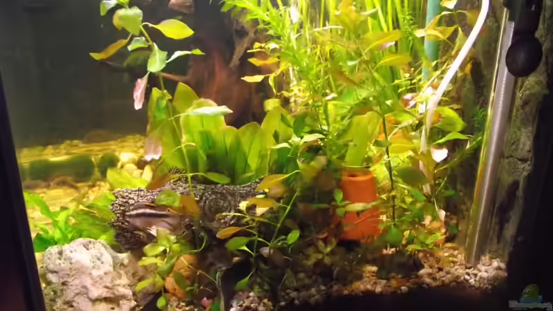 von rechts von Detlef Peter (12)