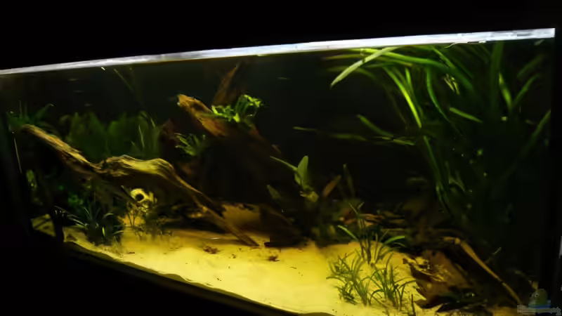 von rechts von lumpi (9)