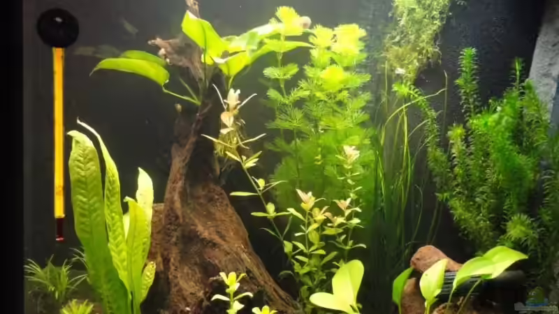 von rechts von Marc SL (4)