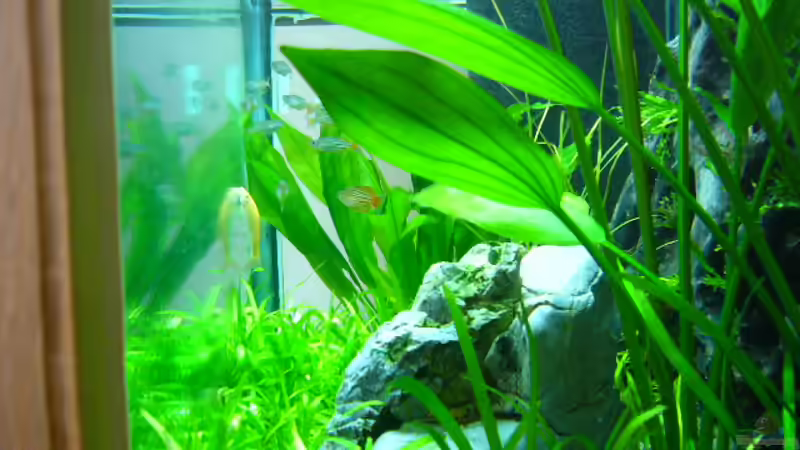 von rechts von Oliver Gursky (2)