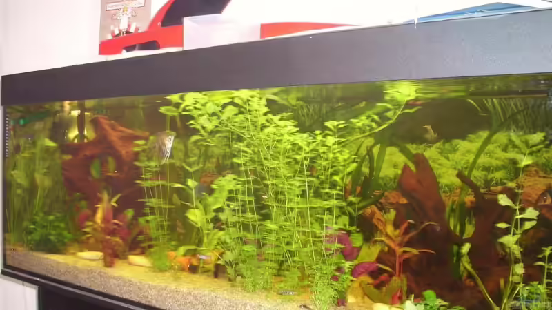 Von rechts von Patrick Adler (5)