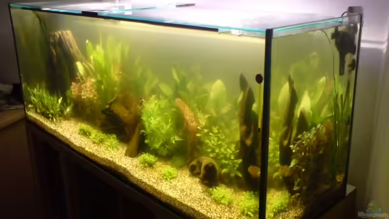 von rechts von Robert Walter (3)