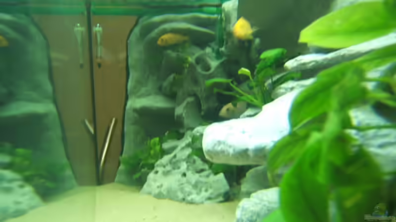 von rechts von Salzeritis (4)