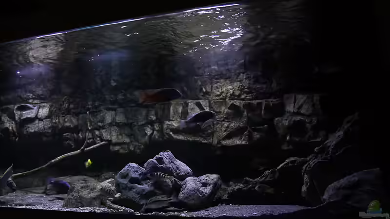 von rechts von Sebastian O. (6)